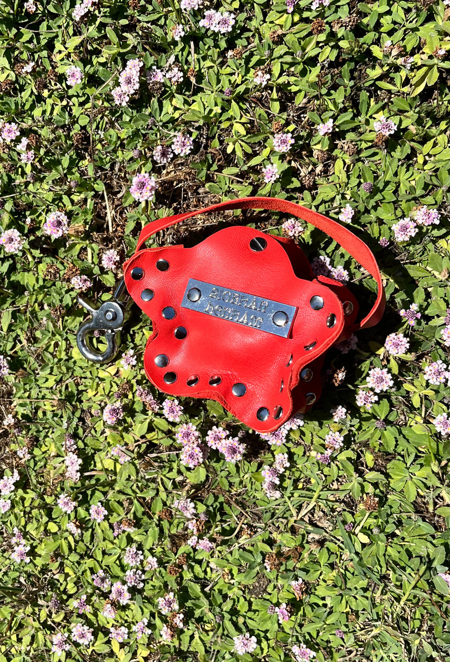Daisy Charm Keychain Ruby
